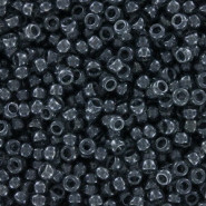 Miyuki seed beads 11/0 - Transparent grey luster 11-178